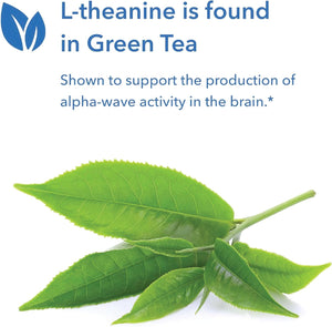 Allergy Research Group 200Mg of Zen Supplement - GABA, L-Theanine, Calmness Support, Day or Night, Hypoallergenic, Vegetarian Capsules - 120 Count