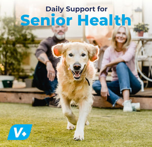 Vetnique Seniorbliss Senior Dog Joint Supplement with Glucosamine and Chondroitin for Dogs Joint Support and Healthy Cartilage Development - for Small & Large Breeds (Hip & Joint Chew, 30Ct)