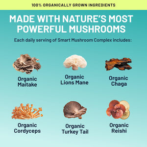 Smart Mushrooms Brain Supplement | Nootropic for Memory, Focus & Cognitive Health | Energy & Immune Support Blend with Lions Mane, Reishi, Cordyceps, Chaga & Turkey Tail | 240 Vegan Capsules