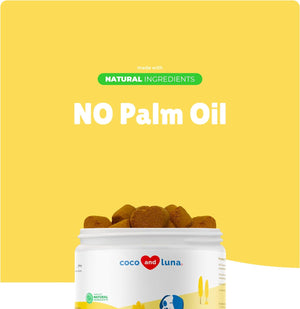 Same for Dogs - S-Adenosyl-L-Methionine, Liver Supplements for Dogs - Brain Supplement for Dogs, Promotes Cognitive Support, Liver Support Supplement