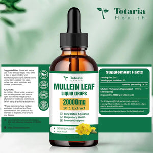 Mullein Drops for Lungs - 98% Absorption Rate 20000Mg Pure Mullein Leaf per Serving - Powerful Mullein for Lung Detox & Cleanse, Respiratory Health, Immunity - Alcohol Free, Natural & Vegan - 2 FL.OZ