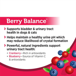 Solid Gold Cranberry Supplement for Dogs & Cats for Urinary Tract Health - Berry Balance UTI + Bladder + Kidney Support for Cats and Dogs with Antioxidants - Cranberry Powder - 3.5 Oz