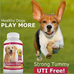 Amazing Cranberry for Dogs Pet Antioxidant, Urinary Tract Support Prevents and Eliminates UTI in Dogs, 120 Chews