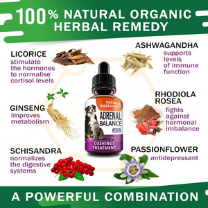 Liver Support Supplement for Dogs & Cats - Milk Thistle Liver Support - Canine Hepatic Care - Cat & Dog Liver Cleanse - Max Effect Liquid Drops