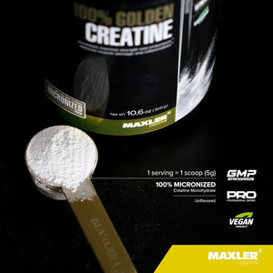 Maxler 100% Golden Creatine - Micronized Creatine Monohydrate Powder - Muscle Building Supplements - Pre/Post Workout Vegan Supplement - Gluten Free Unflavored Creatine Powder - 600 G