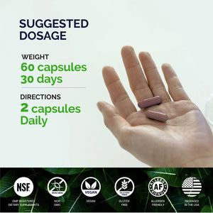 KORESELECT Beet Root Capsules with Vitamin E - Nitric Oxide Supplement Booster for Blood Circulation, Antioxidants Immune Support, Natural Athletic Performance, Wellness Formula - Vegan 60 Caps