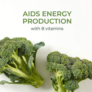 Megafood One Daily Iron Free Multivitamin - Multivitamin for Women and Men - with Real Food - Immune Support Supplement - Bone Health - Energy Metabolism - Vegetarian; Non-Gmo; No Iron - 90 Tablets