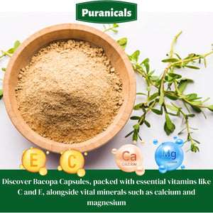 Celery Premium 320 Capsules Non GMO & Gluten Free | Herbal Supplement | 700 Mg per Serving | Made with 100% Pure Herb Celery Seed Powder Also Known as Apium Graveolens