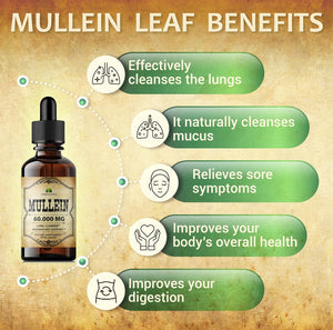 Mullein Leaf Capsules - Verbascum Thapsus Supplement - Herbal Extract Promoting Lung Respiratory & Digestive Wellness - Lung Cleanse & Detox Support Pills - Vegan Non-Gmo, 100 Tablets