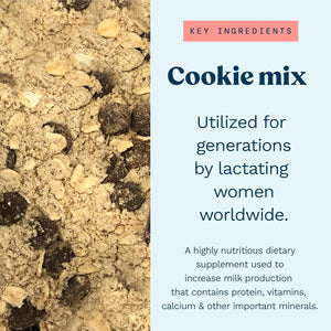 Lactation Cookies Mix - Oatmeal Breastfeeding Cookie Supplement Support for Breast Milk Supply Increase with Flax Seed and Brewers Yeast (Chocolate Chip) 15Oz