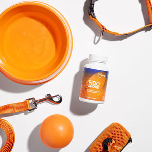 Microbiome Labs Fidospore - Dog & Cat Digestive Supplement - Bacillus Subtilis Spore Based Probiotic to Support Digestion & Gut Health - Grass Fed Beef Liver Flavored Probiotics for Dogs (30 Capsules)