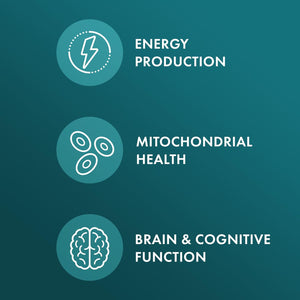 L-Glycine Dietary Supplement, 1,000 Mg per Serving, 90 Servings (180 Capsules), Mitochondrial Function, Non GMO, Soy Free, Gluten Free