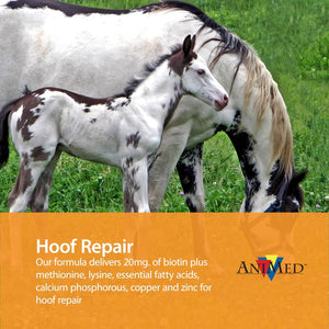 Animed Remission 4 Lb…