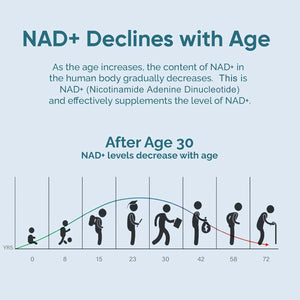 NAD Supplement 1000Mg, True NAD+ 500Mg & Resveratrol 250 Mg, Support Cellular Energy & Healthy Aging