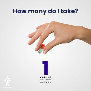 L-Carnosine 400Mg Capsules, 240 Count, L-Carnosine Supplement for Immune Support, Cellular Health, Energy Production, and Performance Enhancement