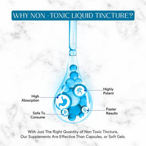 Absonutrix Fisetin 100 Mg, 4 Oz Liquid, 200 Servings, Made in USA, Quick Absorption, Quality Potent Ingredients, Third-Party Tested, Non-Gmo, GMP Certified, Cruelty Free Products