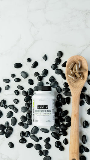 Nutrabio Cissus Quadrangularis Extract, 1,200Mg - Help Support Overall Joint Health and Mobility, May Improve Recovery Time and Healing, 60 Capsules