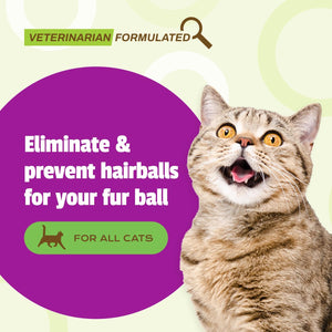 Pet Naturals Hairball - 30 Chicken-Flavored Chews - Cat Supplements & Vitamins for Hairball Control and Digestive Support, Contains No Corn or Wheat
