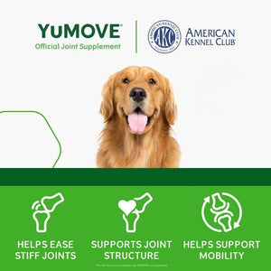 Yumove Adult Dog Tablets | Hip and Joint Supplement for Dogs with Glucosamine, Chondroitin, Hyaluronic Acid, Green Lipped Mussel | Dogs Aged 6 to 8 | 120 Count Tablets, Treat Colored