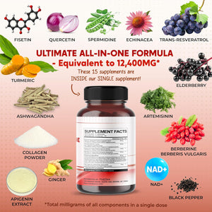 Fisetin Resveratrol Quercetin Elderberry, Echinacea Ashwagandha Turmeric Ginger - Made in USA