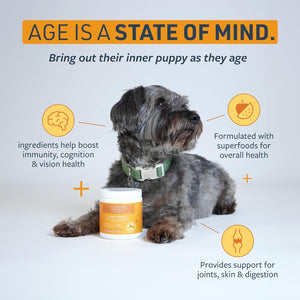 Veterinary Formula Smart Vitality Senior Support Supplement for Dogs - Soft Chews, 100Ct - Support Healthy Joints, Skin, Gut, and Immunity with Glucosamine Chondroitin for Dogs