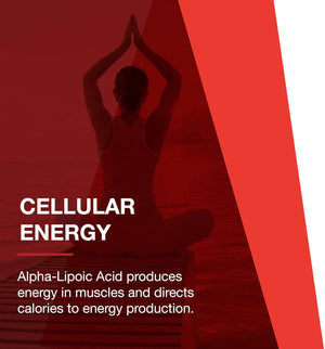 Protocol Alpha Lipoic Acid 600Mg - Grape Seed Extract and Bioperine -