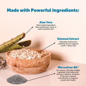 Pet Honesty Restore + Soothe 2 in 1 Shampoo + Conditioner for Sensitive Skin for Dogs & Cats - Dog Skin and Coat Supplement - Soothes Itching, Irritation and Hot Spots (Coconut) - 16Oz