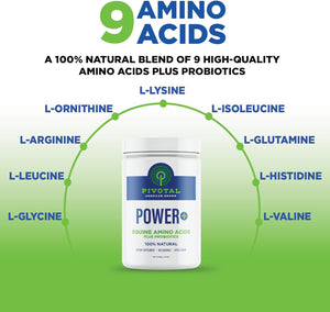 Power+ Horse Supplement (620G/1.36Lbs - 100 Servings) - 9 Equine Amino Acids plus Probiotics for Horses - No Added Sugar, No Soy, No Fillers - Horse Joint Support Supplement