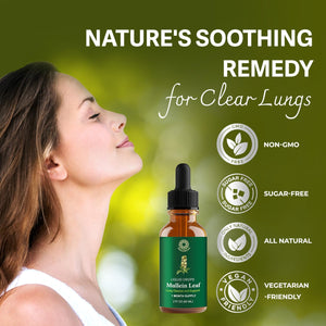 Mullein Leaf Extract: Mullein Extract for Lungs - Lung Cleanse - Mullein Tincture - Mullein Drops for Lungs - Respiratory Health Support - Healthy Breathing - Non-Gmo - Vegetarian - 1 Month Supply