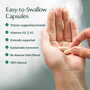 ALGAECAL plus - Organic Red Algae Calcium Supplement, Vitamin K2 MK7 (100Mg), Vitamin D3 (1600 IU), Magnesium (250Mg) & Trace Minerals, for Bone Strength, Easy to Swallow Caps, 3 Month Supply