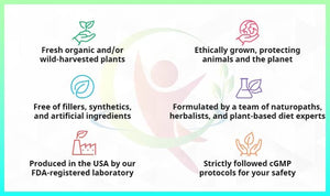 Powerful Stem Cell Formula and Daily Supplement, 90 Capsules, 100% Natural and Vegan