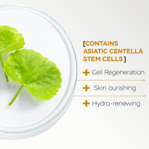 AM/PM Anti-Aging Facial Serum Duo, Deep Hydration, Photoaging Protection with Arabian Cotton Stem Cells & Hyaluronic Acid (AM), Firming & Rejuvenation with Centella Asiatica Stem Cells & Collagen (PM)