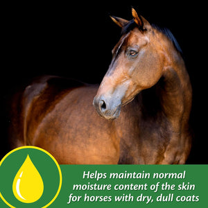 Farnam Super 14 Healthy Skin & Coat Supplement for Horses, Keeps Coats Shiny & Gleaming Year-Round 2.75 Pound, 44 Day Supply
