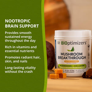 – Mushroom Breakthrough - Salted Caramel - Nootropic Supplement Blended Powder of Mushroom, Collagen & Superfoods: Lion’S Mane, Chaga, Reishi (15 Servings)