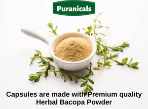 Celery Premium 320 Capsules Non GMO & Gluten Free | Herbal Supplement | 700 Mg per Serving | Made with 100% Pure Herb Celery Seed Powder Also Known as Apium Graveolens