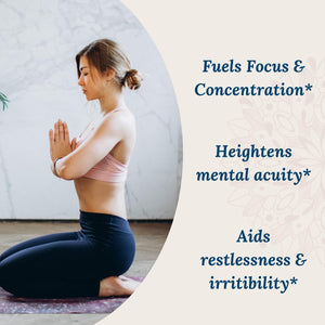 KSM-66 Ashwagandha Supplement W/L Theanine & Alphawave - Zenwell Everyday Stress Relief, Mood Support, Cognitive, Brain Health - Ashwagandha for Men & Women - 60 Capsules