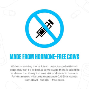 LEGION Casein+ Casein Protein Powder (Dutch Chocolate) - Slow-Release Micellar Casein Protein Powder - Non-Gmo, Gluten-Free & Naturally Sweetened Casein Powder from Grass-Fed Cows (30 Servings)