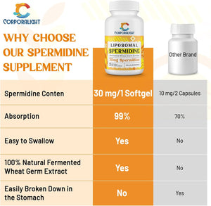 30Mg Spermidine Supplement, Liposomal Spermidine, High Absorption, More Potent than Spermidine 3HCL, Fermented Wheat Germ Extract, Spermidine for Women & Men, Cellular Renewal, Longevity, 120 Softgels