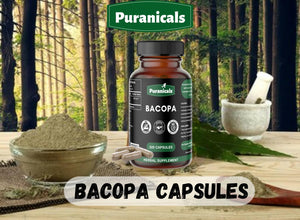 Celery Premium 320 Capsules Non GMO & Gluten Free | Herbal Supplement | 700 Mg per Serving | Made with 100% Pure Herb Celery Seed Powder Also Known as Apium Graveolens