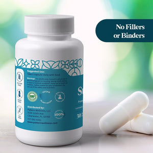 Pattern Wellness Gut Support Microbiome Complete Supplement - Gut Repair & Digestive Support - Whole Body Vegan Health - 3Rd Party Lab Tested - 30 Non-Gmo Capsules