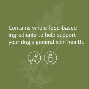 Standard Process Canine Dermal Support - Skin & Adrenal Gland Support Supplement - Comprehensive Skin Health Support Supplement for Dogs - Daily Immune & Liver Support Powder - 125 G