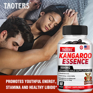 L-Arginin Nitric Oxide, Testosteron Booster, 60 Capsules X 2 Bottle