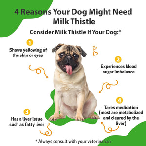 {Product Name} – {Primary Function} – USA-imported supplement delivered in Australia delivery through Australia Post