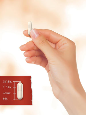 Prebiotic, Probiotic & Postbiotic | 25 Billion CFU | 50 Powder Pills | Men and Women'S Digestive Health | Vegetarian and Non-Gmo Supplement | Tahoe Naturals