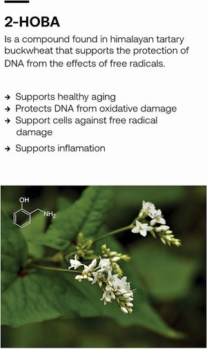 male enhancement pills best male enhancement natural male enhancement male enhancement supplements how to increase penis size naturally erectile dysfunction treatment increase stamina in bed penis enlargement pills testosterone booster for men ho