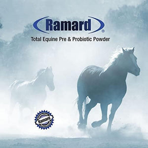 Total Prebiotic & Probiotic Equine Formula - Natural Digestive Supplement for Horses Optimal Gut Health, Nutrient Absorption, Foal Support Pro & Pre Biotics for Livestocks and Horse 8.5 Oz Jar