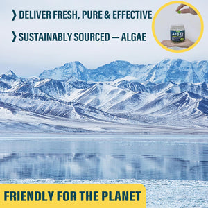 Vegan Omega 3 Gummies 1000Mg, Sugar Free Omega 3 Fish Oil Supplements Alternative, from Marine Algae Oil plus DHA 460Mg & EPA 230Mg, Vitamin B12, Folate for Brain, Bone, Joint, Eye & Immunity, 120 Cts