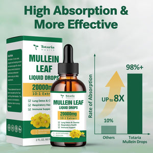 Mullein Drops for Lungs - 98% Absorption Rate 20000Mg Pure Mullein Leaf per Serving - Powerful Mullein for Lung Detox & Cleanse, Respiratory Health, Immunity - Alcohol Free, Natural & Vegan - 2 FL.OZ