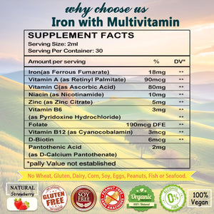 Liquid Iron Supplement W/ Vitamin C, A, B-Complex, Vegan Iron Drops High Potency Liquid Vitamin & Iron Supplements for Women, Men & Children -Support Red Blood Cell, Energy, Anemia & Fatigue