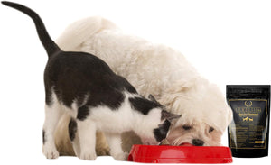 Nursing Supplement and Vitamins for Nursing Dogs and Cats - Nursing, Lactation and Recovery Supplement for Breeders - Muscle & Mental Development for Puppies and Kittens - 200G